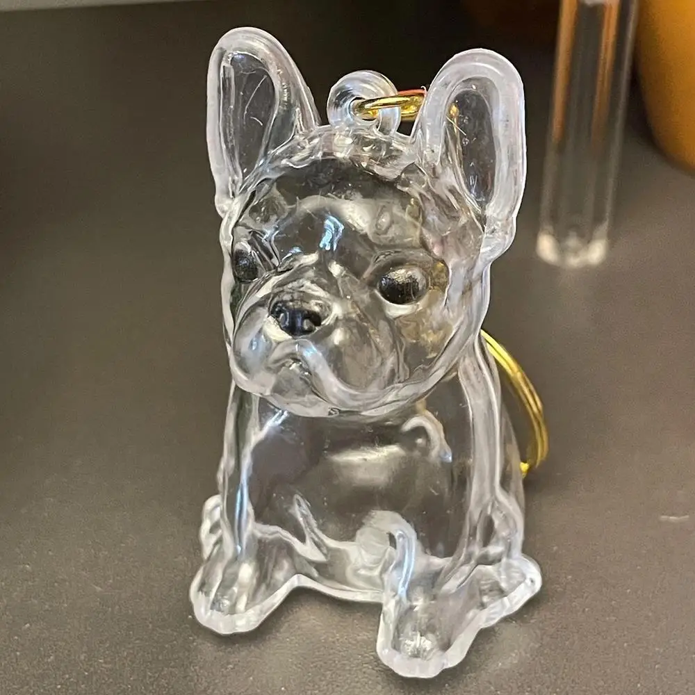 تخزين شعر الحيوانات الأليفة هدية عيد ميلاد الكلب الفراء تخزين قلادة Bichon شكل المفاتيح الإبداعية شفافة لطيف المحمولة الحلي #3