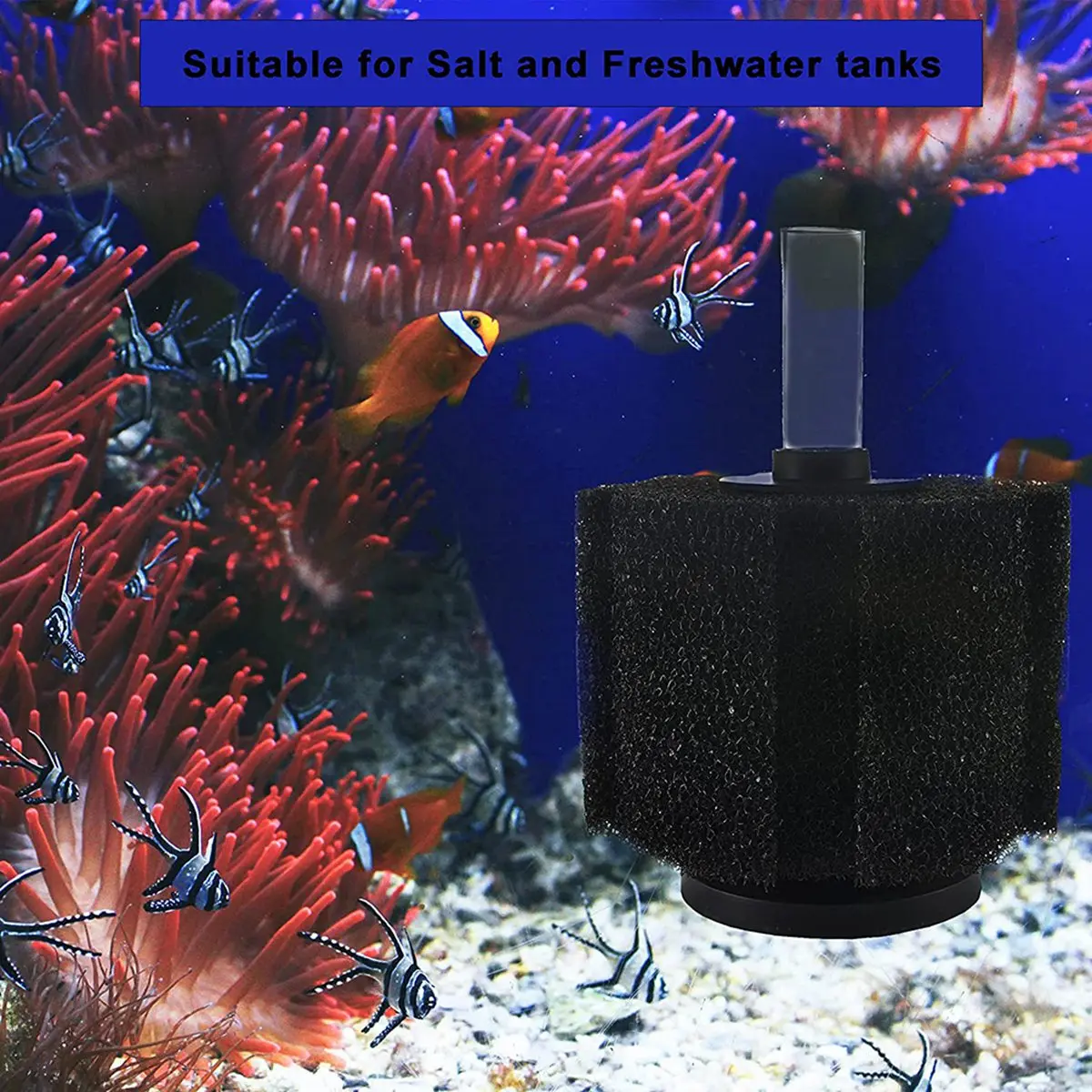 Aquariumfilter Xinyou Waterfee Aquarium Aquarium Pneumatische waterzuivering Bacteriën Paddestoel Stil