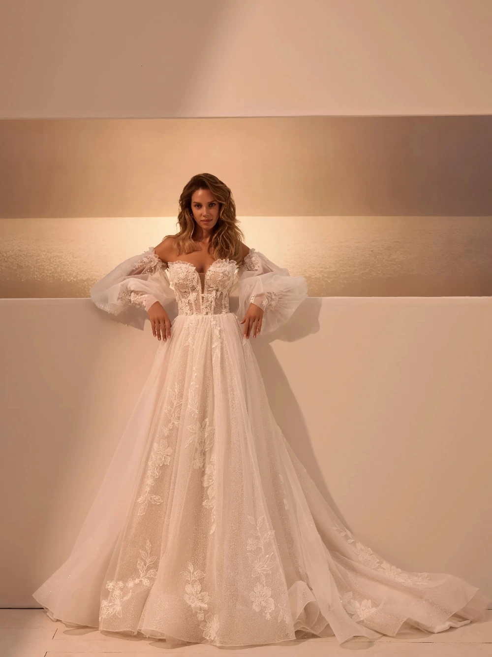 Unique Off Shoulder Puff Sleeve Sweet Wedding Gown, Intricate Lace Floral Embroidery Tulle Bridal Dress With Cathedral Train