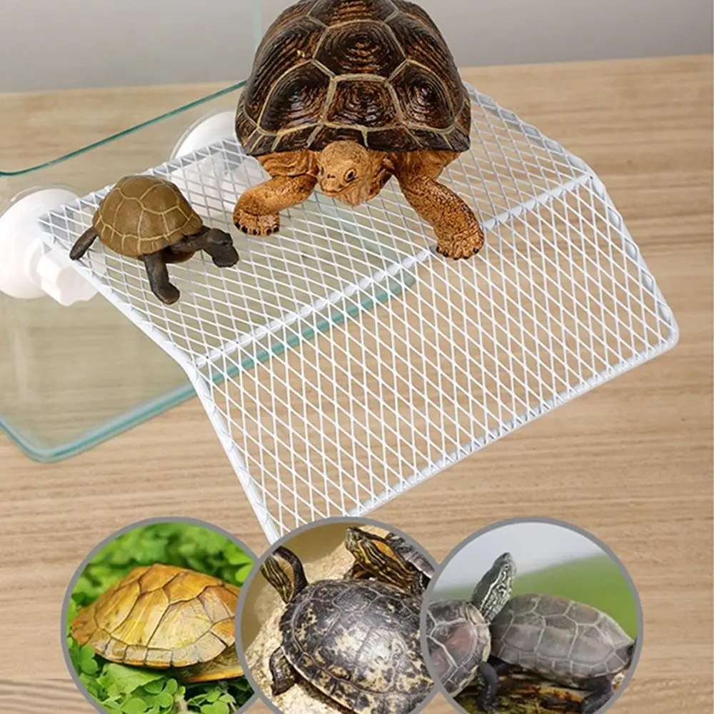 Suction Cup Turtle Basking Platform Adjustable Height Wire Mesh Turtle Sunbathing Stand Wall-Mounted Reptile Resting Platform