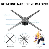 62cm Newest 3D Fan Holographic Projector Support Wifi Bluetooth Audio 3D Advertising Display Lights Hologram Projector Logo