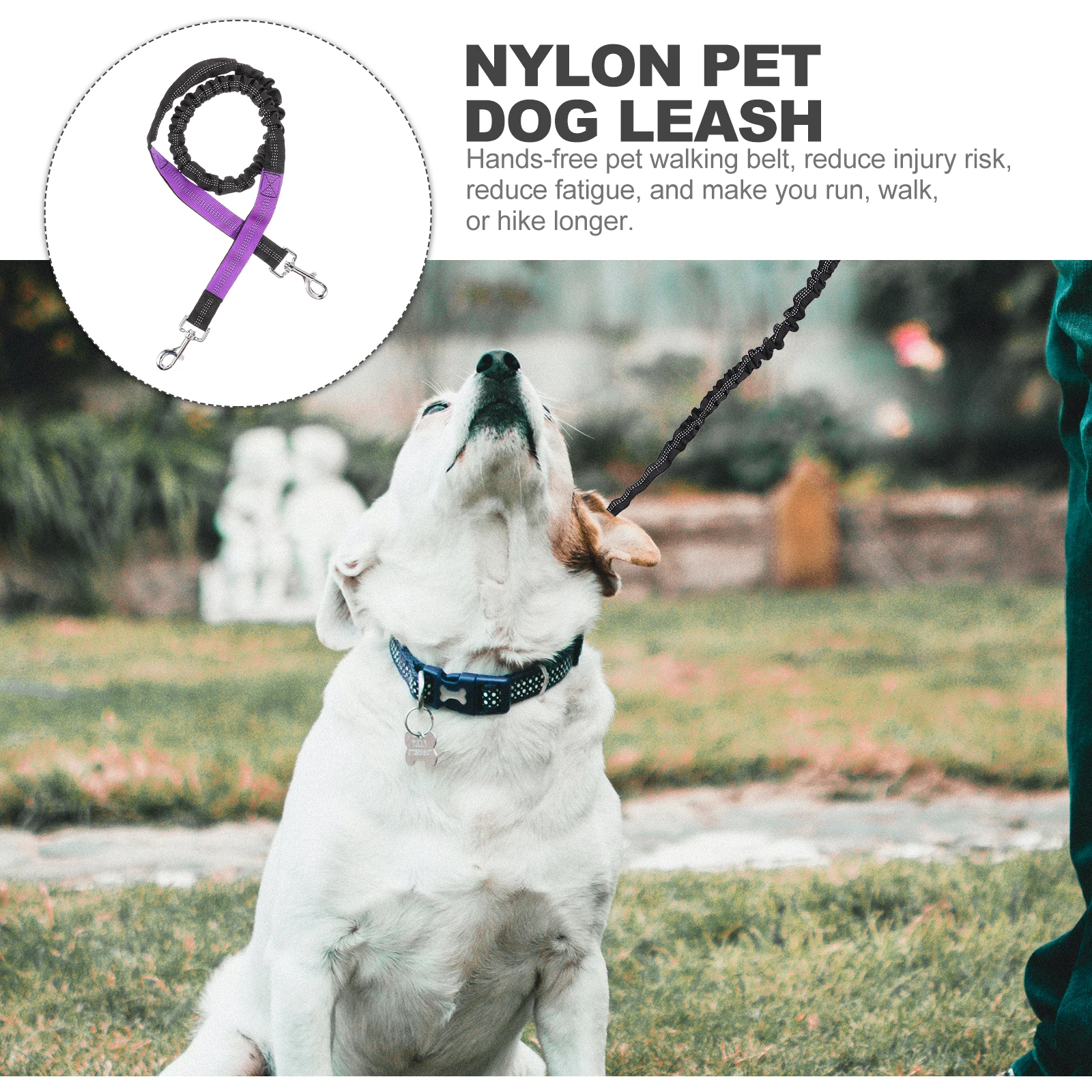 

Pet Dog Leash for Walking Running H Small Medium Dogs Rope Purple Waist Nylon Metal Traction Bright Prevent Abruptly