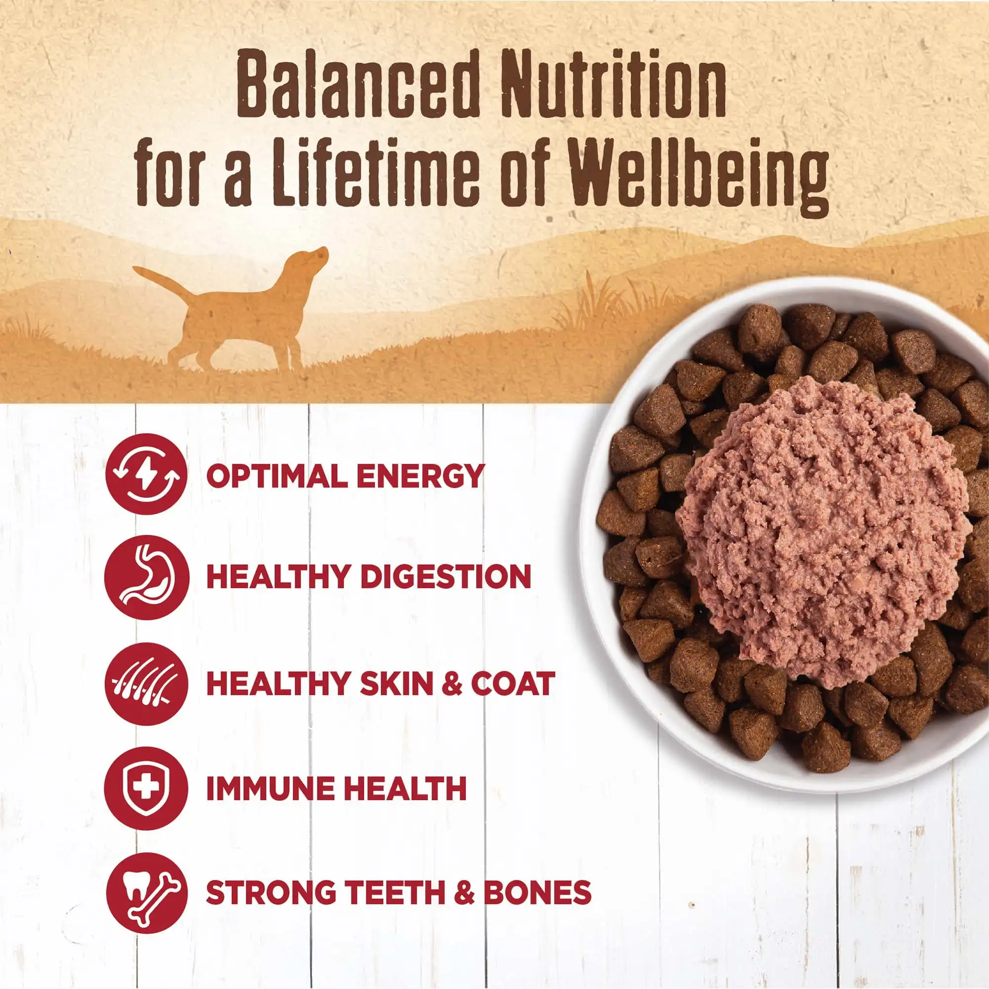 Wellness Cibo per cani in scatola naturale al 95% di manzo umido senza cereali, lattina da 13,2 once (confezione da 12)
