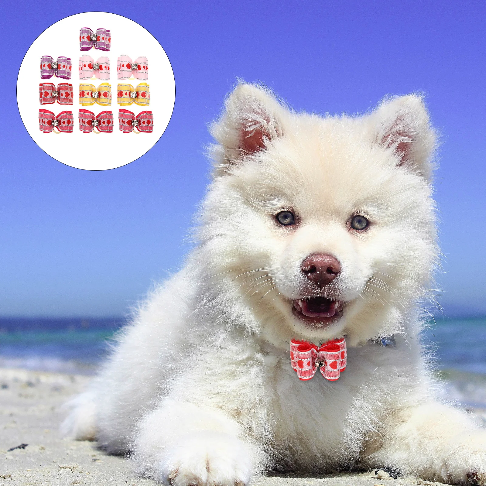 

10Pcs Pet Bowknot Hairpins Adorable Dog Barrettes Puppy Decor Durable Alligator Clips Hair New Puppy Gift Basket