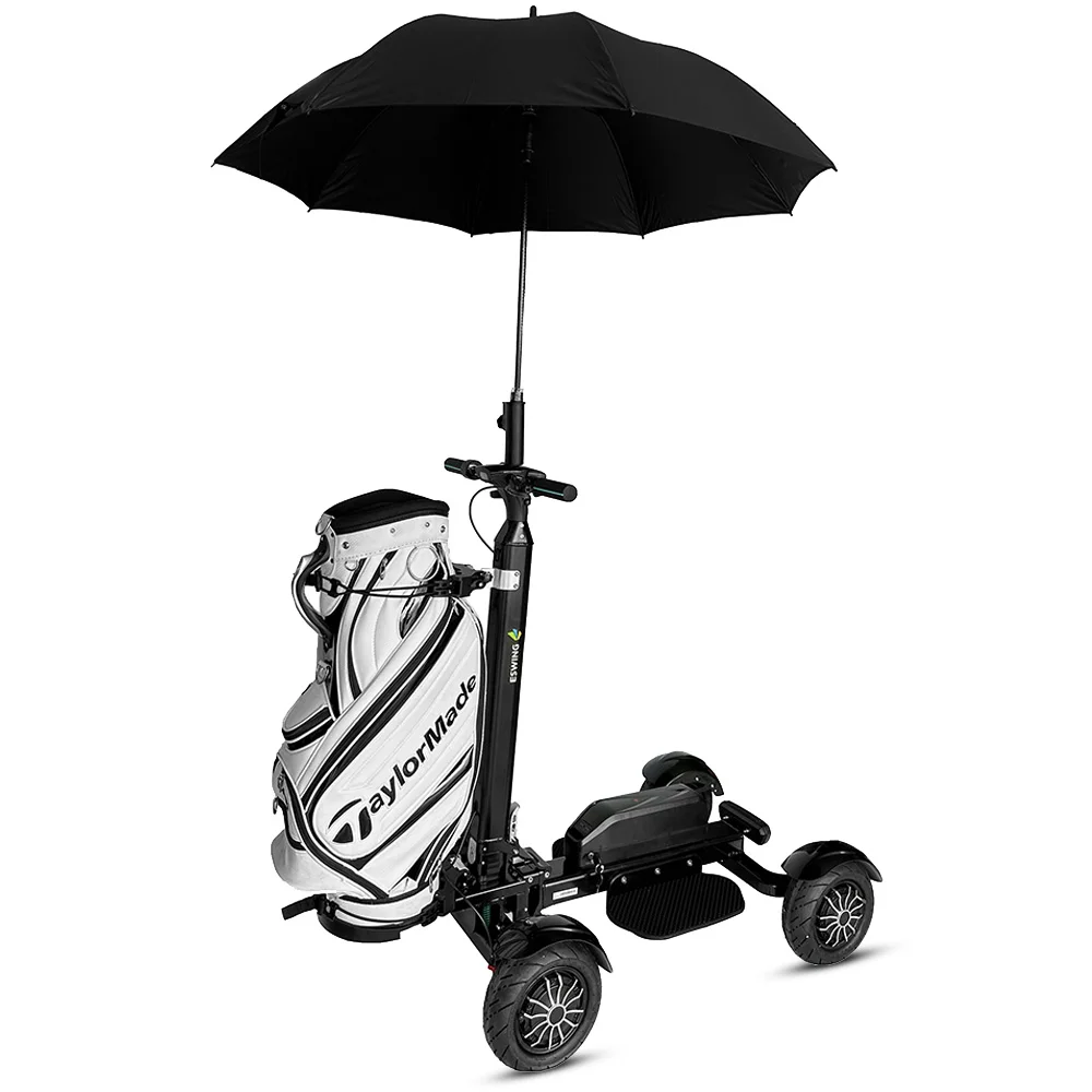 For Custom 4-Wheel Buggy Aluminium Electric Cart With Brushless Hub Motor 2400W Lithium Battery From US Warehouse