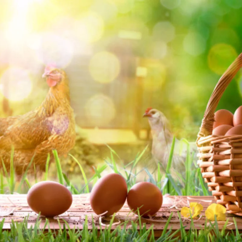 

Губчатые шины и колесные диски в масштабе 1/10 со смещением 3 мм и шестигранной головкой 12 мм, подходят для RC HSP HPI, модель дорожного гоночного автомобиля, аксессуар для игрушек