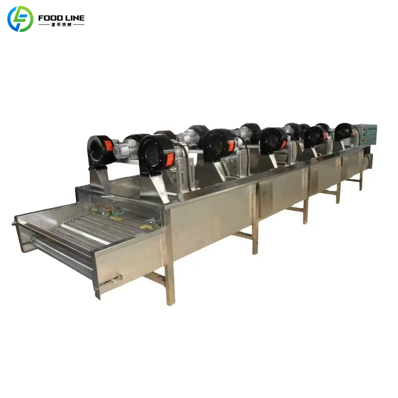 Customized Fruit and Vegetable Drying Conveyor Belt with Air Blower Stainless Steel Commercial Processing Device