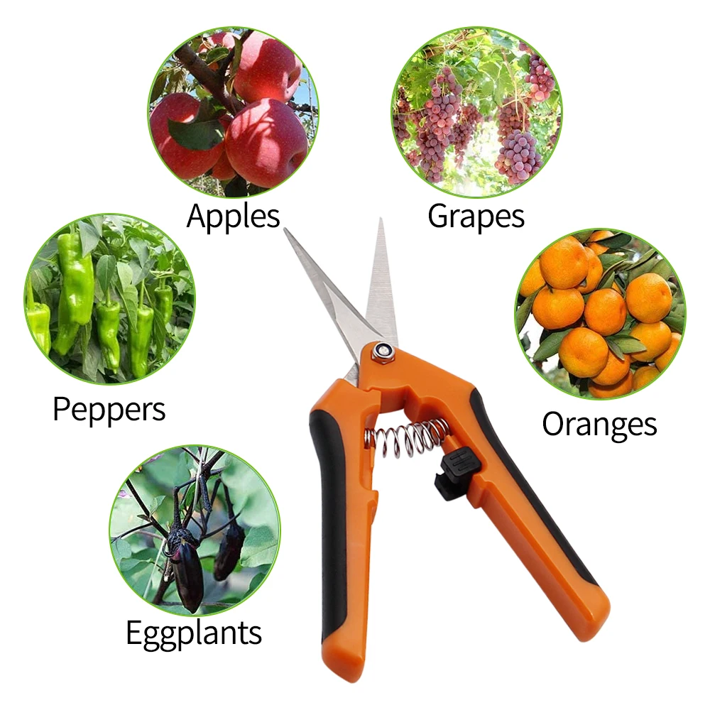 

Garden Tools Secateurs Bonsai Shears Metal Gardening Scissor Pruning Tool Hand Cutter Fruit Picking Weed Household Potted 1PC