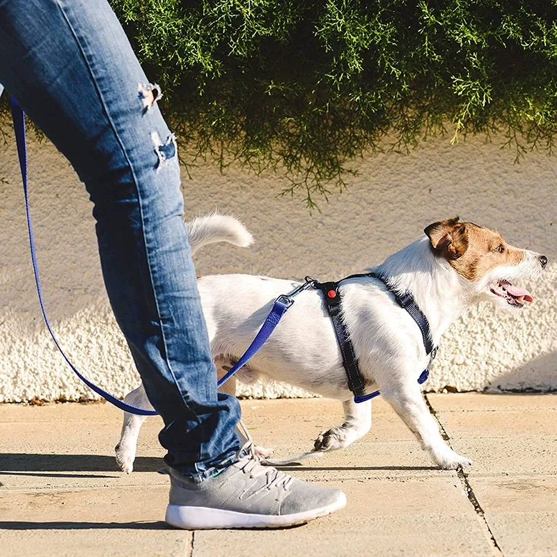 Verstellbare Doppelhaken-Reflektor-Hundeleinenverlängerung, Anti-Flucht-Hundegeschirr, verlängertes Seil, Nylon-Haustier-Autositzgurt-Verlängerung – Detail 5