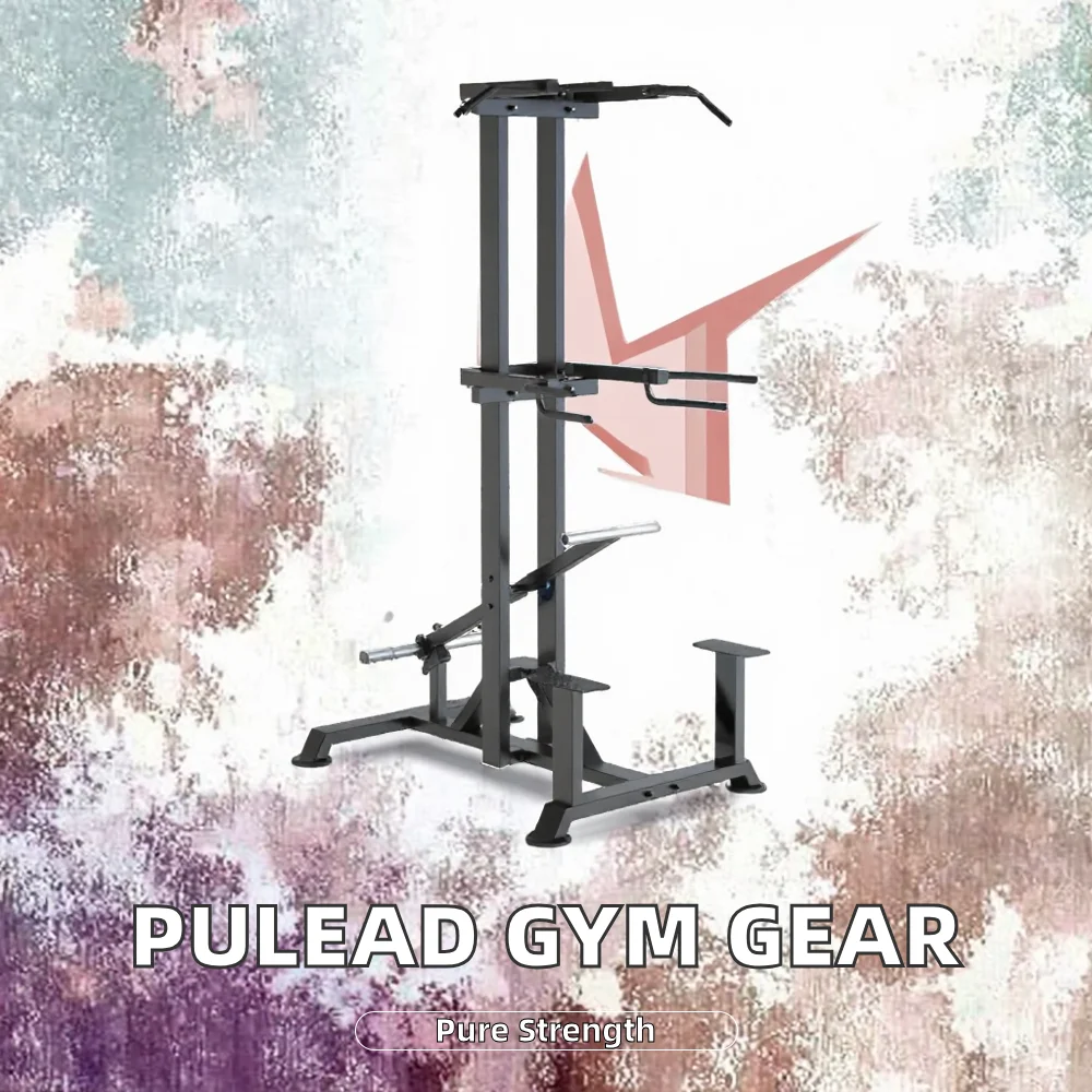 상업용 헬스장 장비 스틸 풀업 머신 (팔 강화 중심)