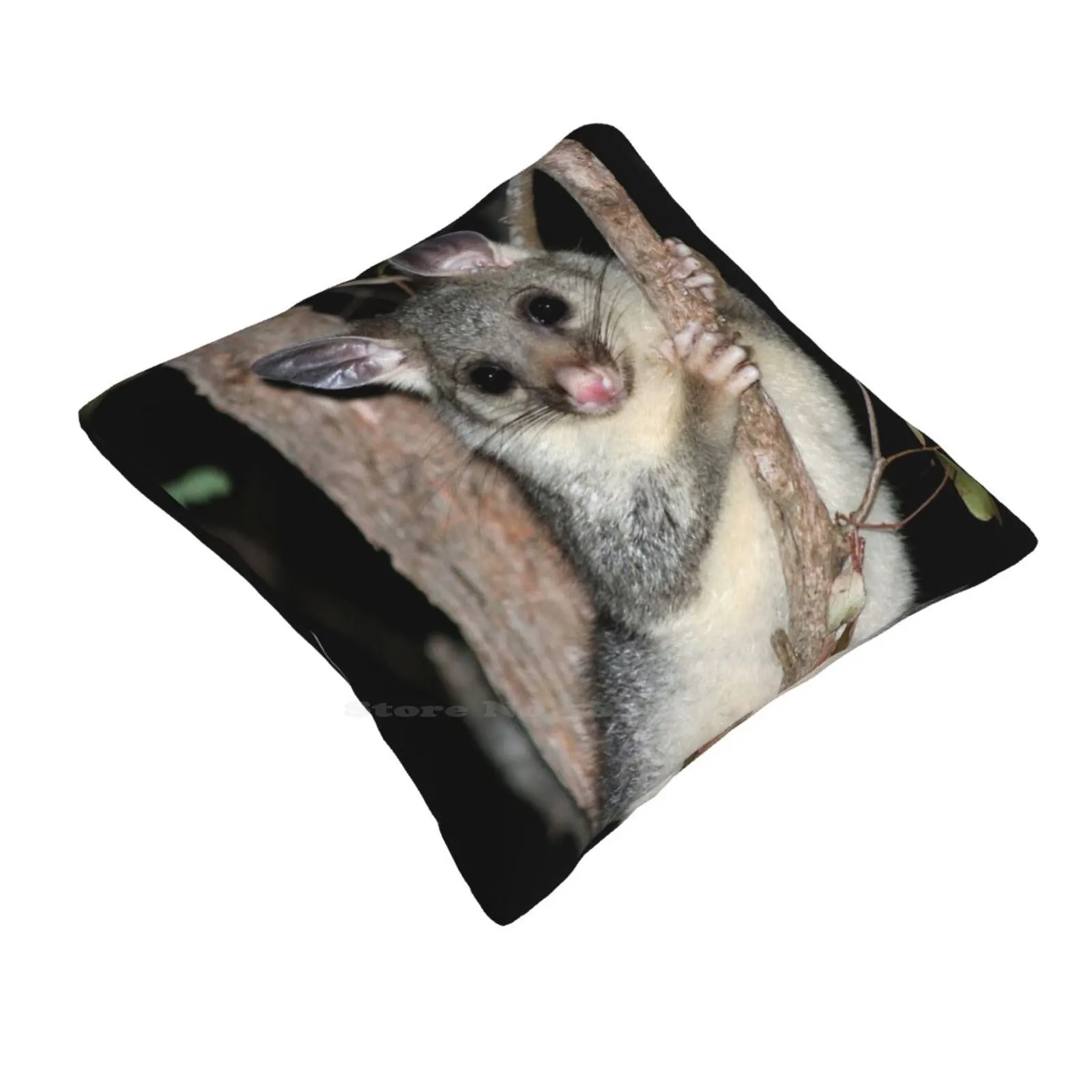 ? Australian Brushtail Possum ( Young ) Bedroom Office Hug Pillowcase Australian Brushtail Possum Land For Wildlife Australian