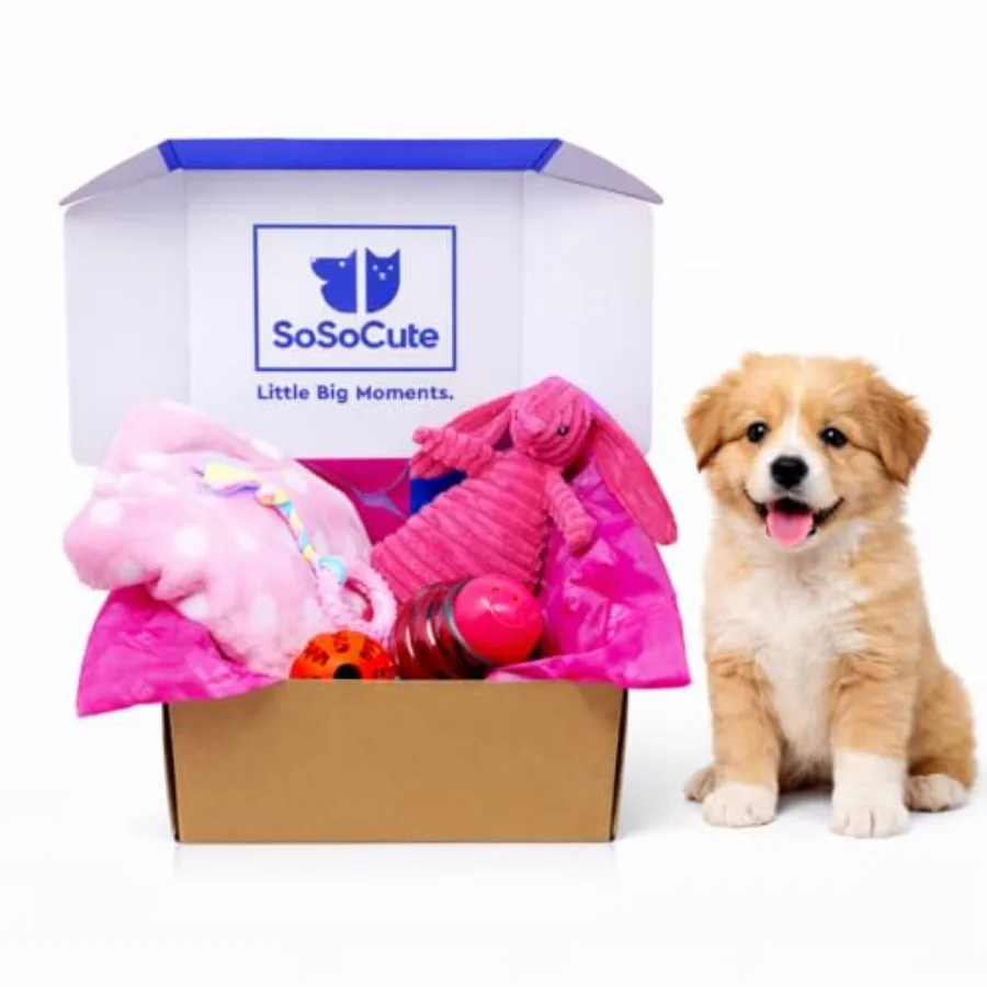 

Puppy Starter Kit 5pc Dog Toy Gift Set for Small Dogs Blanket, Squeaky Plush, Teething Ring, Treat Ball New Puppy Essentials Gi