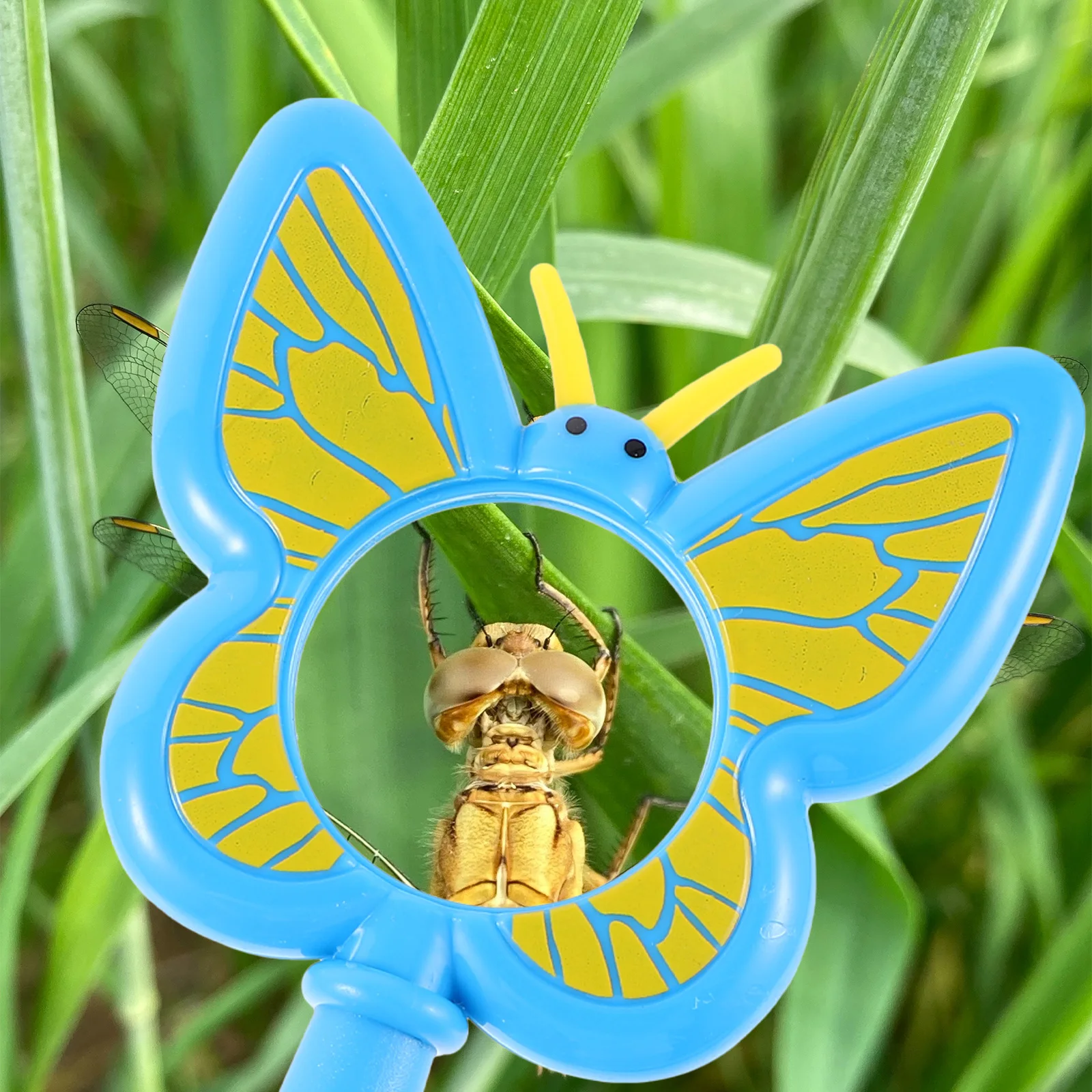 3 pçs lupa portátil crianças inseto lupa ferramenta de observação de plástico hd mini microscópio para biologia ferramenta de aprendizagem bonito