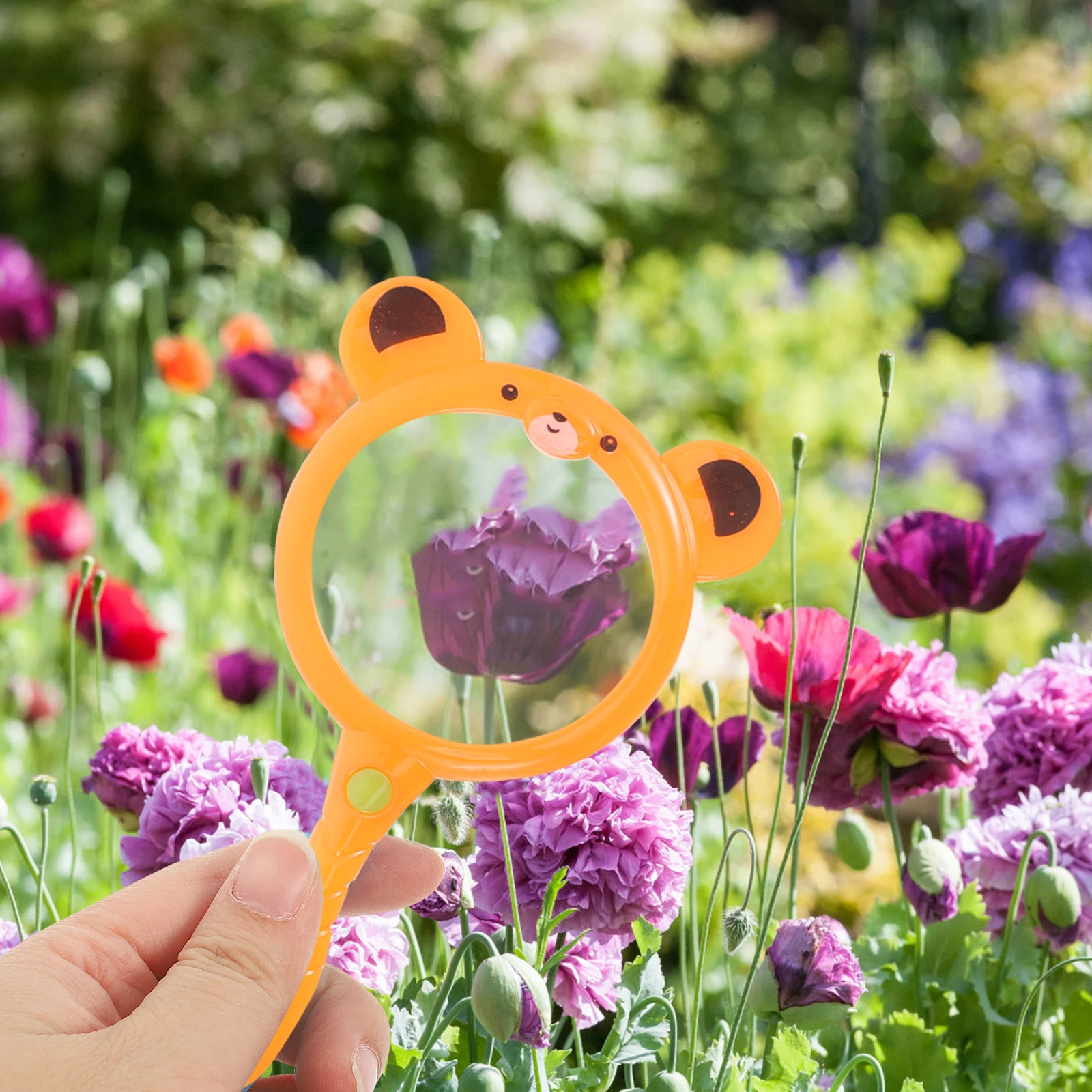 2Pcs H Kids Toys Adorable Reading Magnifier Toddler Explore Toddler Explore Toy Tool Reading Learning Supplies