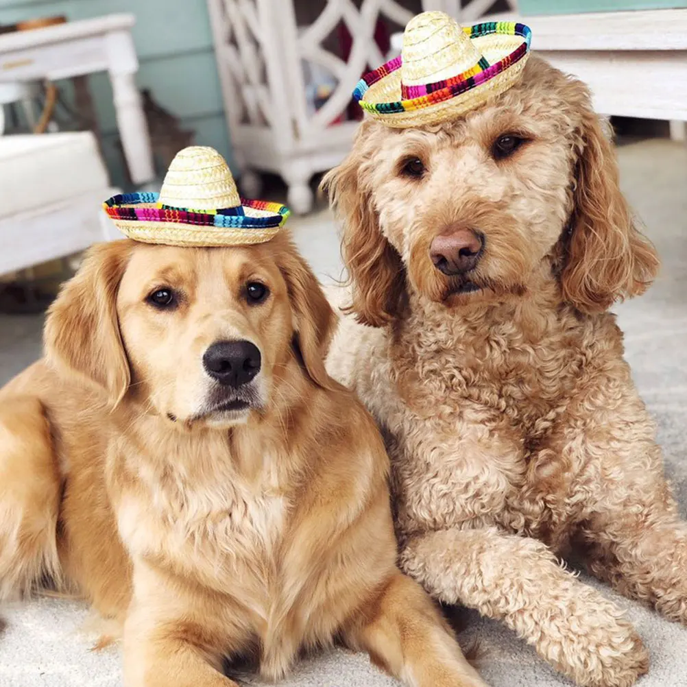 

3pcs Pet Mexican Sombrero Hats Adjustable Durable Rubber Dog Cat Birthday Party Small Straw Hat Stylish Outings Photos Pet