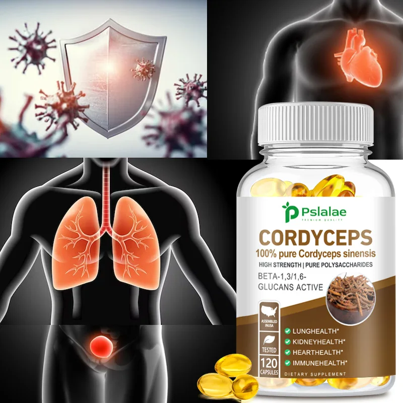 

Cordyceps Capsules - Stamina and Energy Support, Helps Immune & Cardiovascular Health, Brain Supplement for Memory and Focus