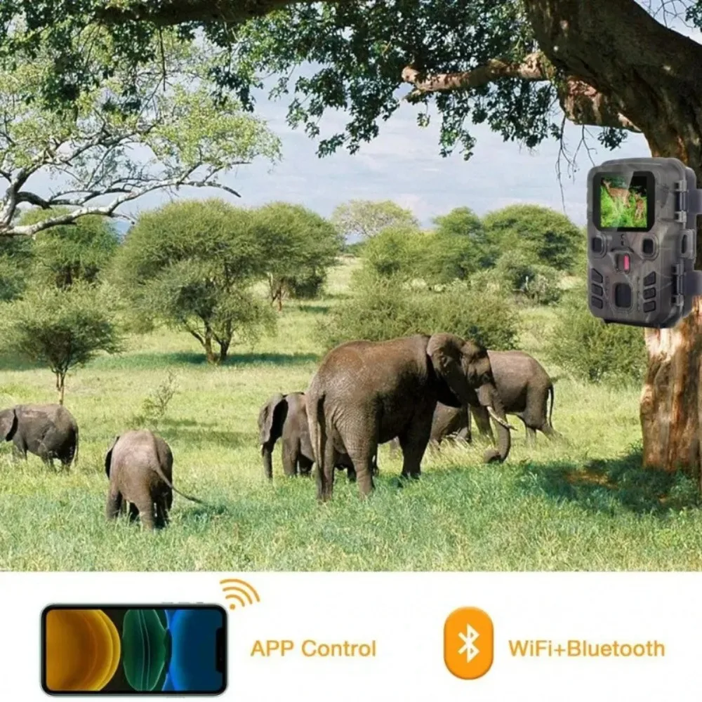 Outdoor Wifi Hunting Camera APP Control Trail Camera Wireless Bluetooth 24MP 1296P Night Vision Motion Wildlife Traps Photo