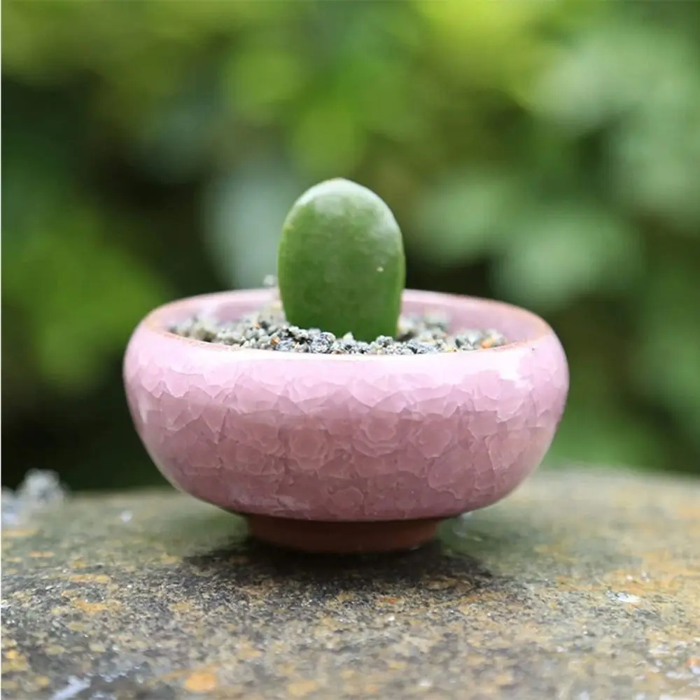 Durable Breathable Ice-Crack Glaze Ceramic Flowerpots Cute Perforated Succulent Flowerpot Mini Thickened Plants Planter Office