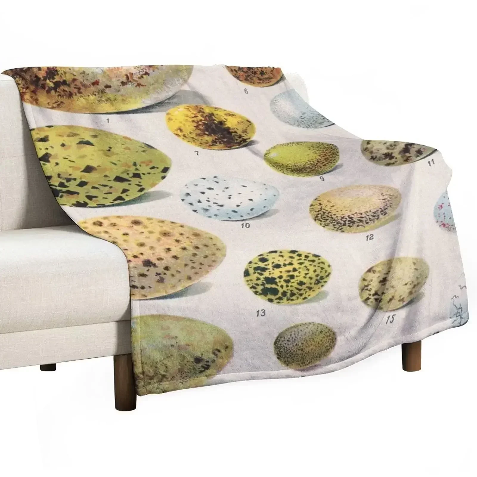Vintage french biology illustration - Quillet - Oeufs d'oiseaux Throw Blanket Large Sofa halloween Blankets