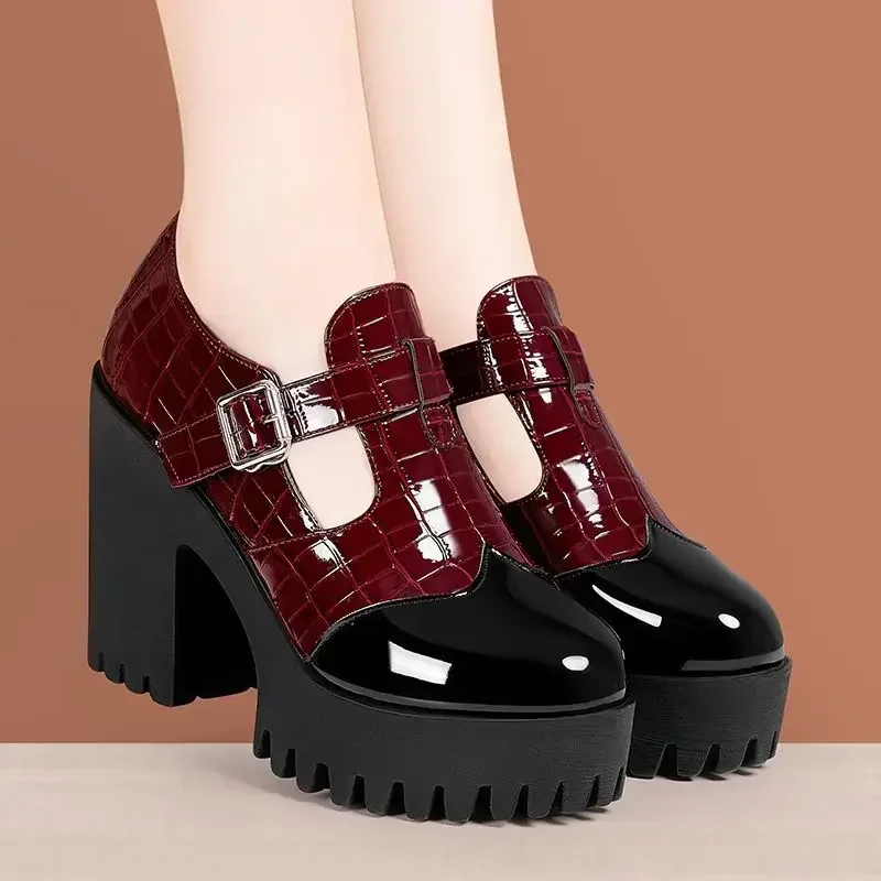 

10cm Small Size 32-42 Vintage Thick Bottom Mix Color Mary Janes Platform Shoes 2025 Spring Block High Heels Shoes Office Model