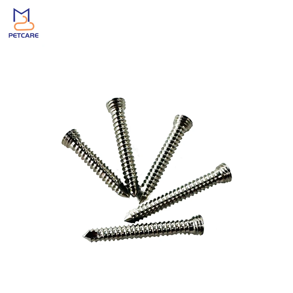 3.5mm Stainless Steel Locking Screws for Veterinary, Orthopedics, Surgical Implants, Dog Accessories, Pet Products, 3.5mm