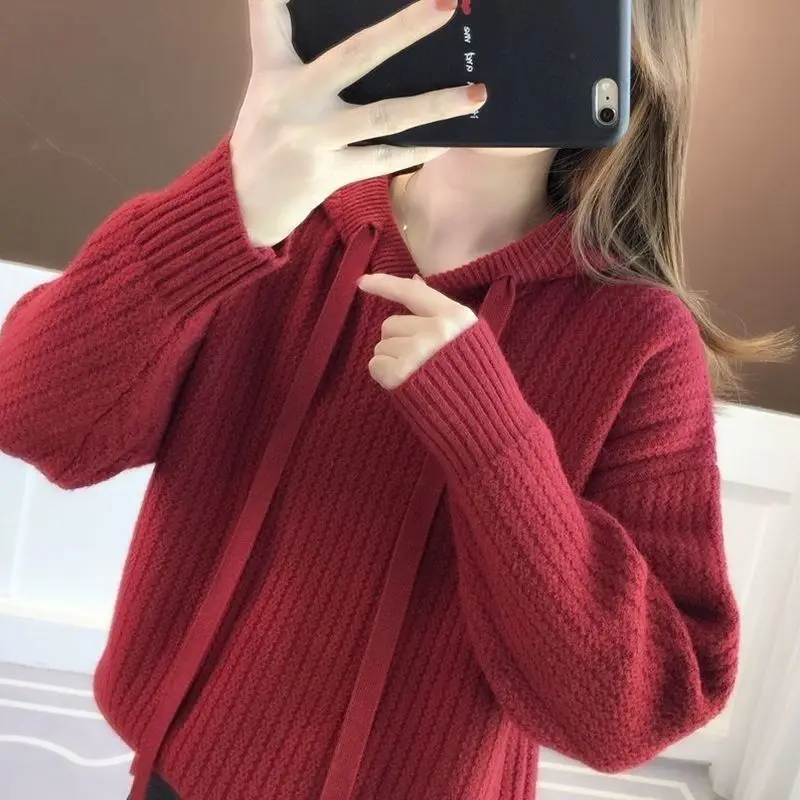 Harajuku Fashion Sweater Thick Hoodies Sweatshirt for Women Y2k Vintage Sport Sweat-shirt Dropshiping Designer Woman Hooded Tops