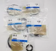 

CS95-160 Cylinder repair kit