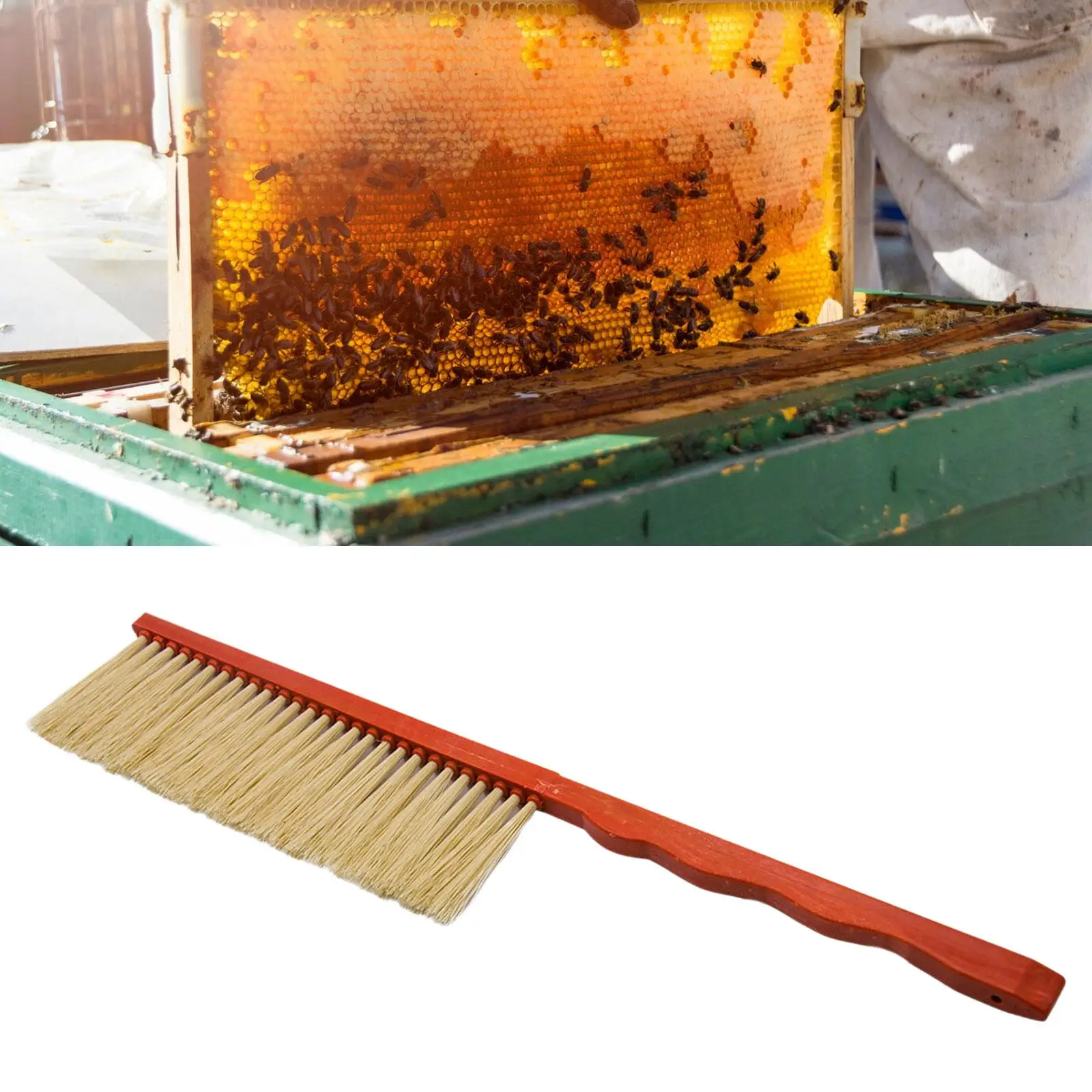 PP Bristle Beehive Brush Beekeeping Hive Cleaning Tool Accessory for Bees Honey Frame Gentle Care