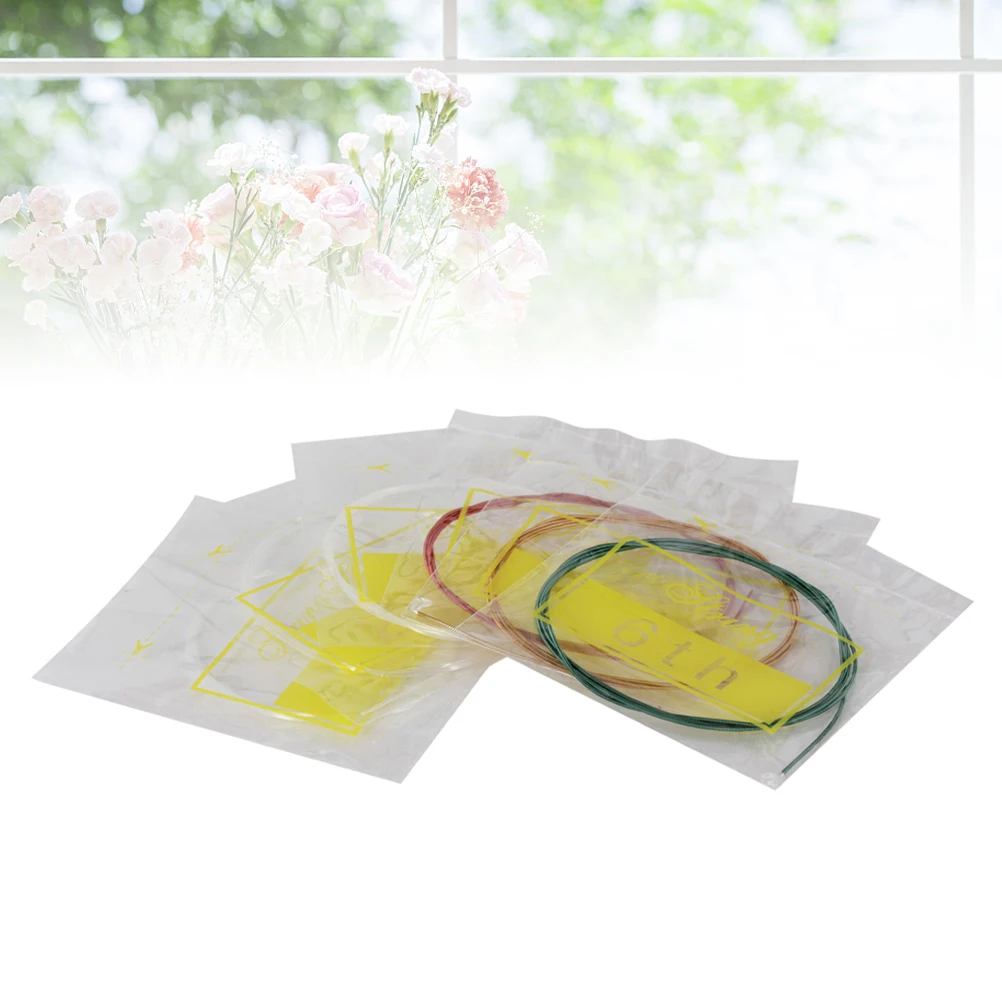 

6Pcs Classic Guitar Strings Nylon Core Assorted Diameter High Toughness Replacement Set for Broken Strings Nylon Guitar String
