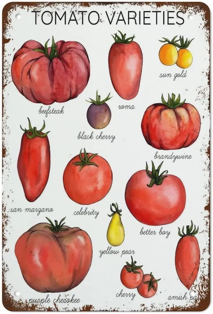 Letrero de estaño divertido, variedades de tomate, placas de carteles de Metal para el hogar, sala de estar, cocina, cafetería, Bar, decoración de pared Vintage, letrero de Metal 1