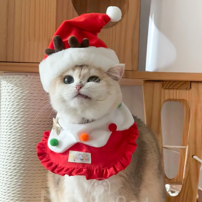 Pet Christmas Costume Cat Santa Outfit Small Dog Hoodie Cat Neck Dog Hat Elk Clown Hat Christmas Pet Supplies & Pet Gifts