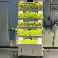 New Condition Irrigation System for Home WateringAutomatic Hydroponic Indoor Greenhouse Plant Growing Cabinet with LED Light