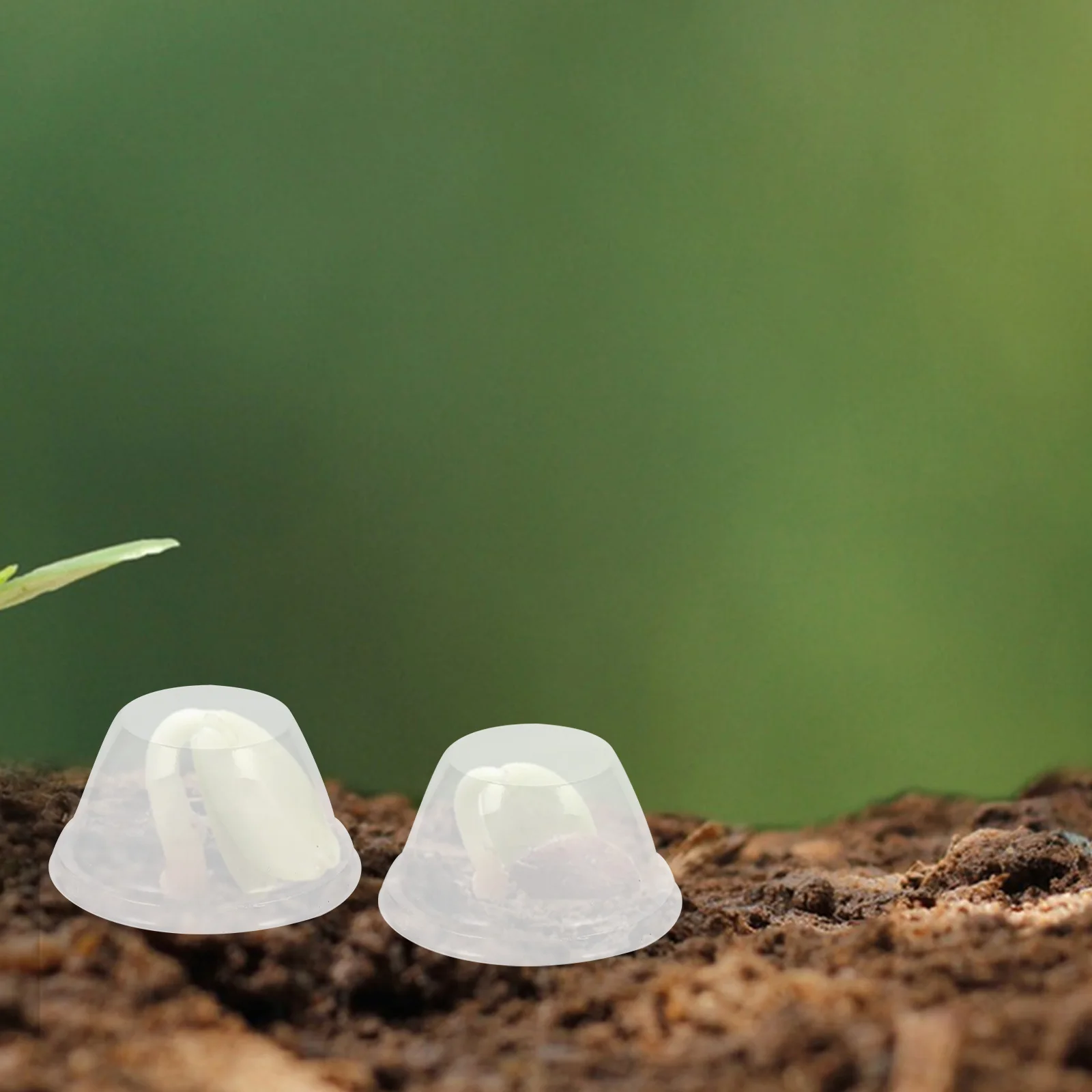 

100pcs Seedling Insulation Cover Protective Dome Clear Plastic Nursery Humidity Greenhouse Transparent Flowerpot Starting