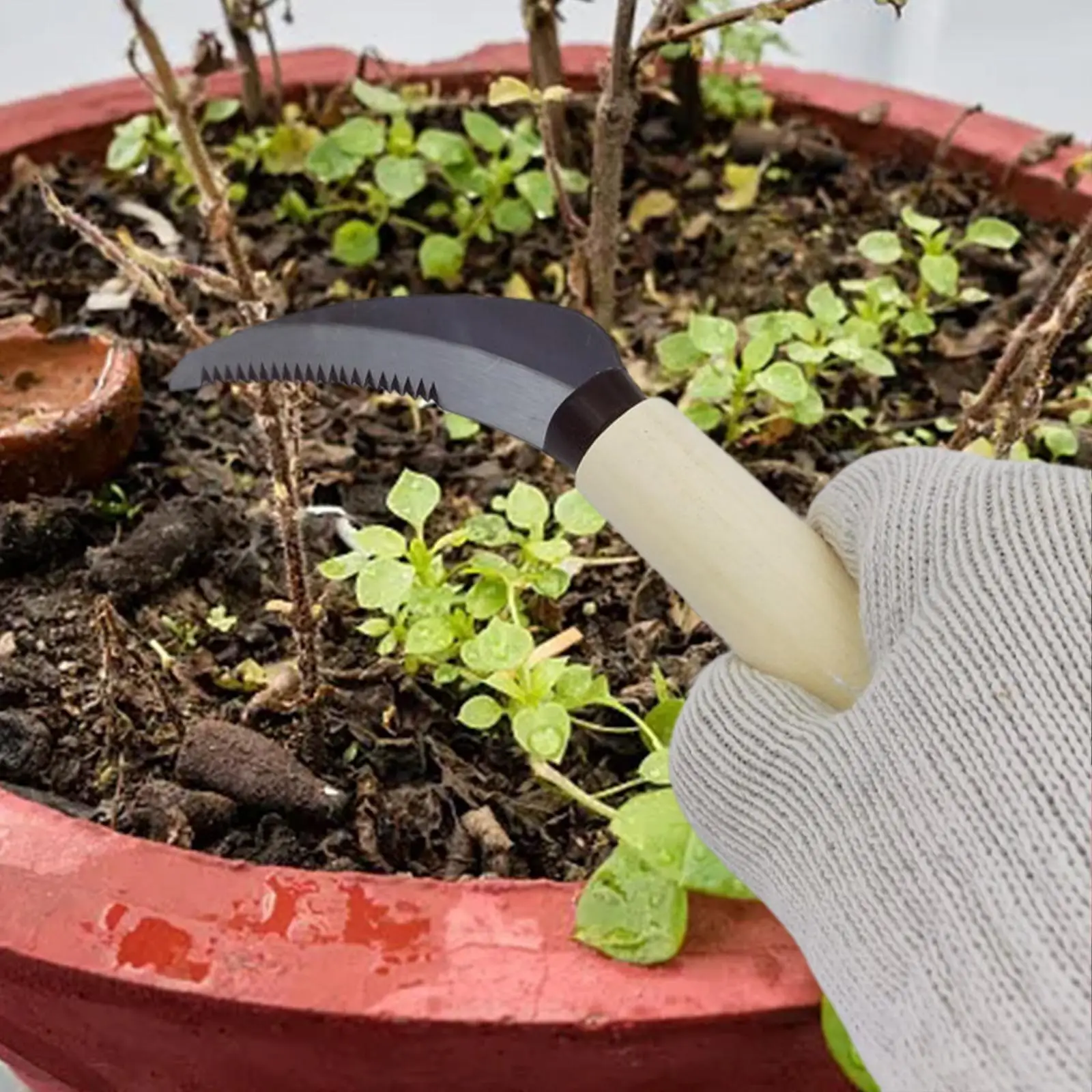 Pisau pemotong rumput celah pisau pembersih sabit dengan pegangan kayu pisau pemotong rumput untuk teras Paving bunga pertanian