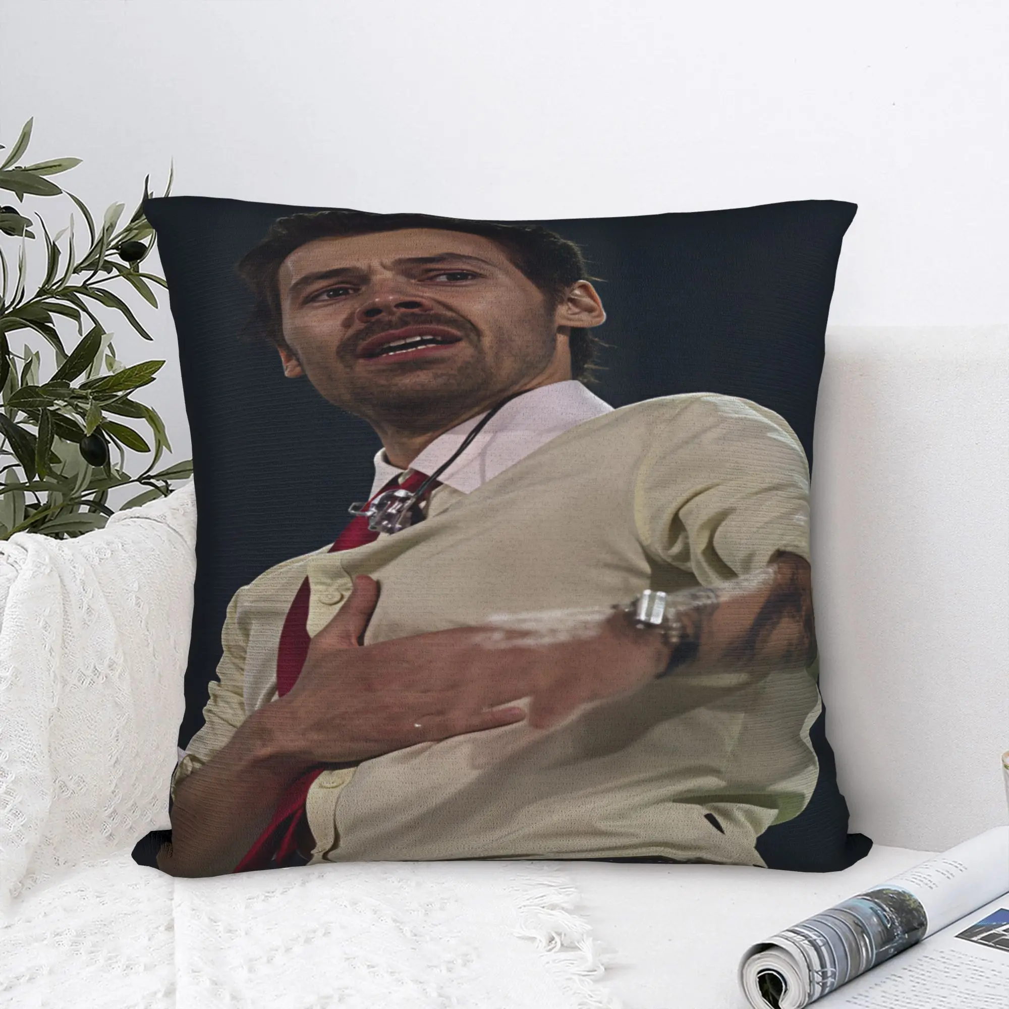 Harrys S-Styles Kiss Al the Time Pillowcases  Retro Trendy Pillow Case For Office Car Home Decor Comfy Pillow Cover