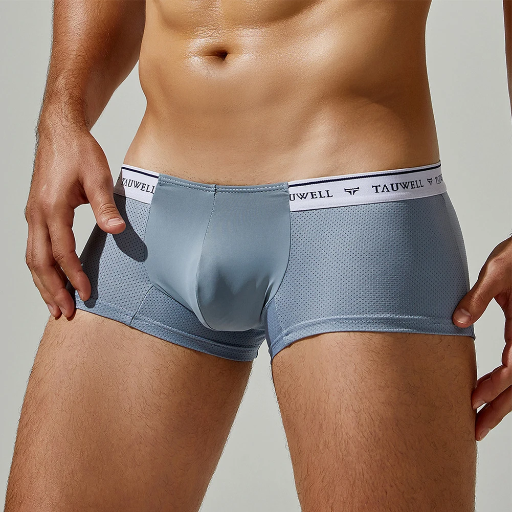

All Seasons Breathable Underwear Men\\\\\\'s Mesh Boxer High Stretch Low Waist Nylon Fabric Soft Texture Solid Color