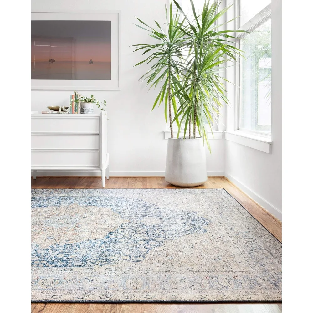 Distressed Low Pile Area Rug, Soft, Durable, Vintage Inspired, Non-Shedding, Easy Clean, Printed, Living Room Rug