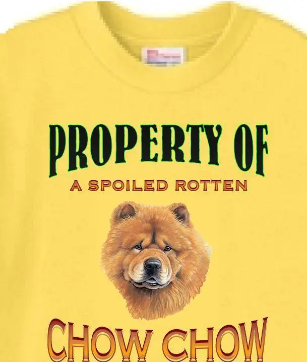 

Dog T Shirt Men Men Women Property of a Spoiled Rotten Chow Chow