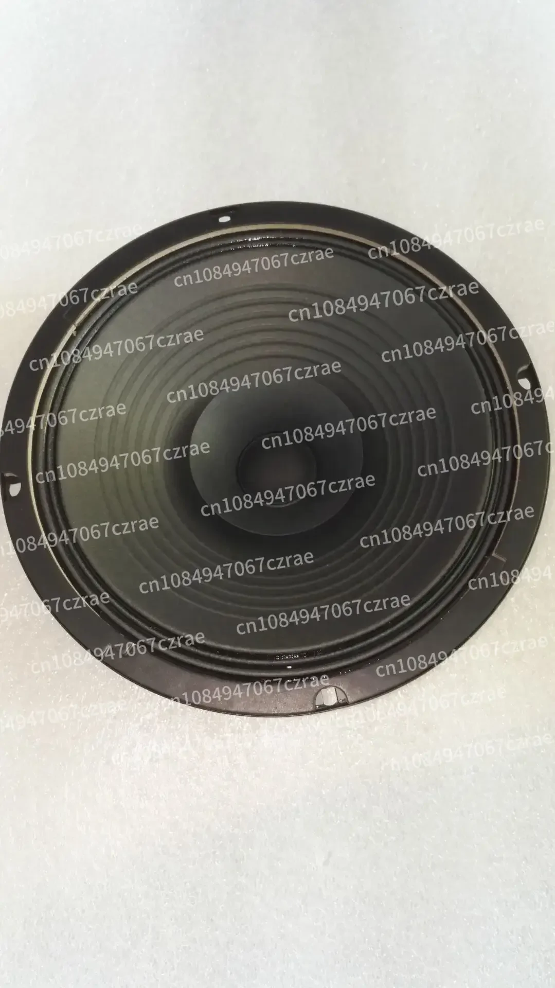 10inch Full Range Speaker 8 Ohm 100 Magnet 4 Ohm 120 Magnet