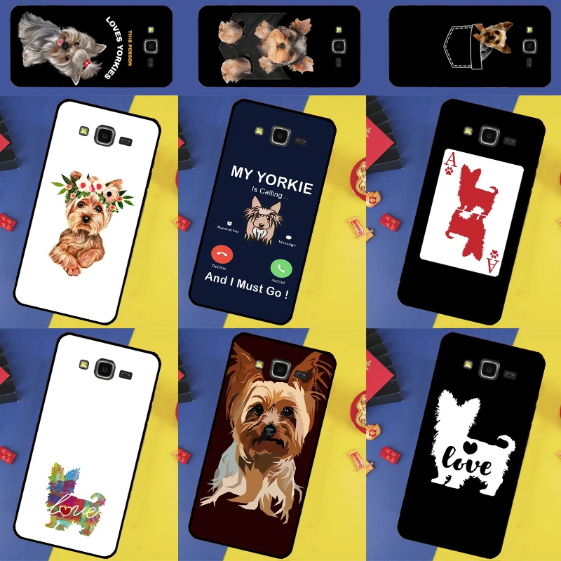 Yorkshire Terrier D…