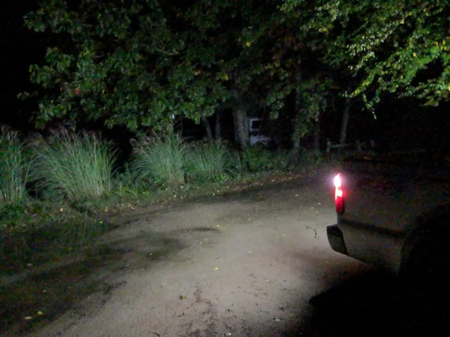 2000 Lumen 360-Grad-LED-Lampen für Backup-Leuchten, Xenonweiß, 921 912 90-EX