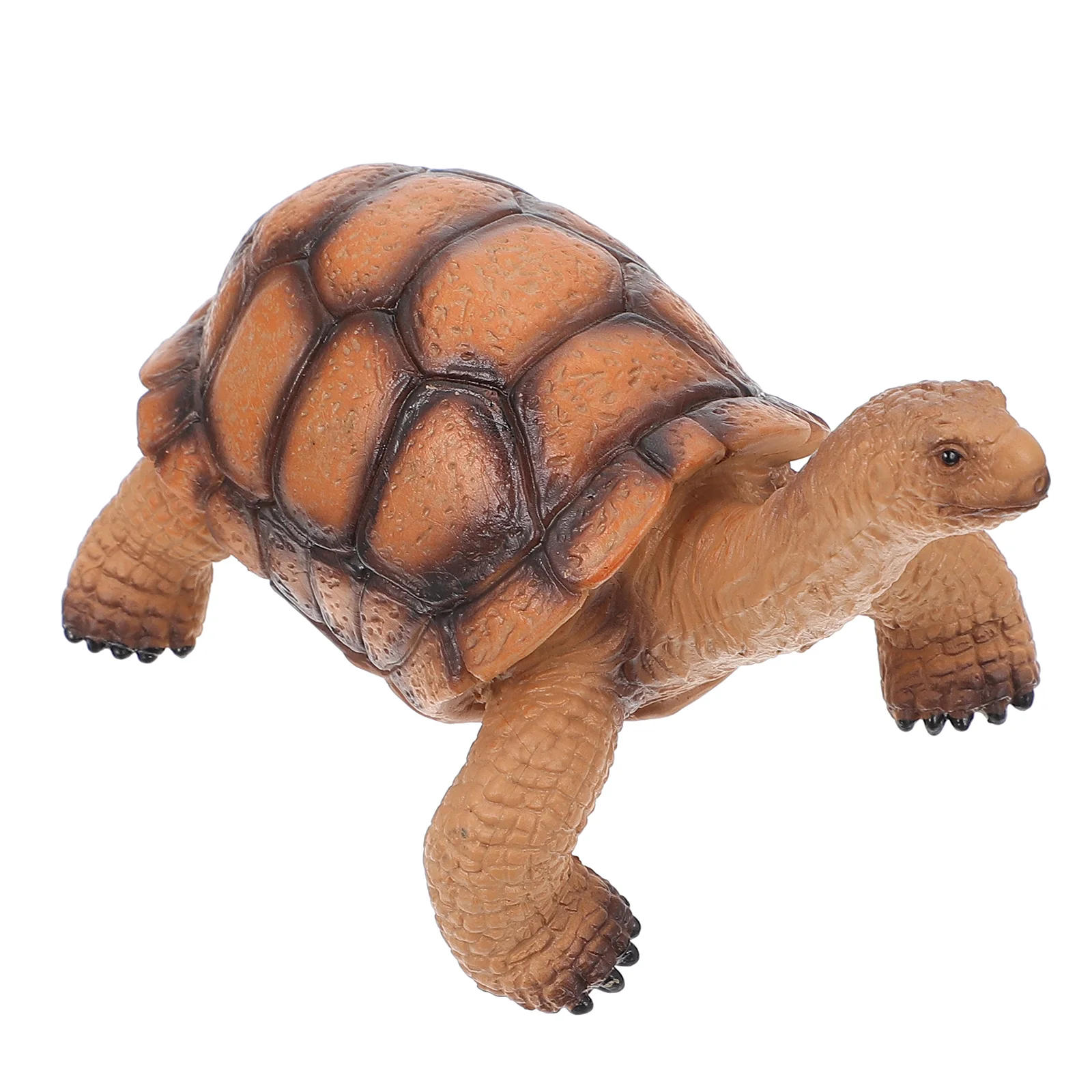 Children’s Toys Childrens Turtle Model Realistic Simulation Marine Animal Plastic Vivid Tortoise Desktop Adornment Brown Kids