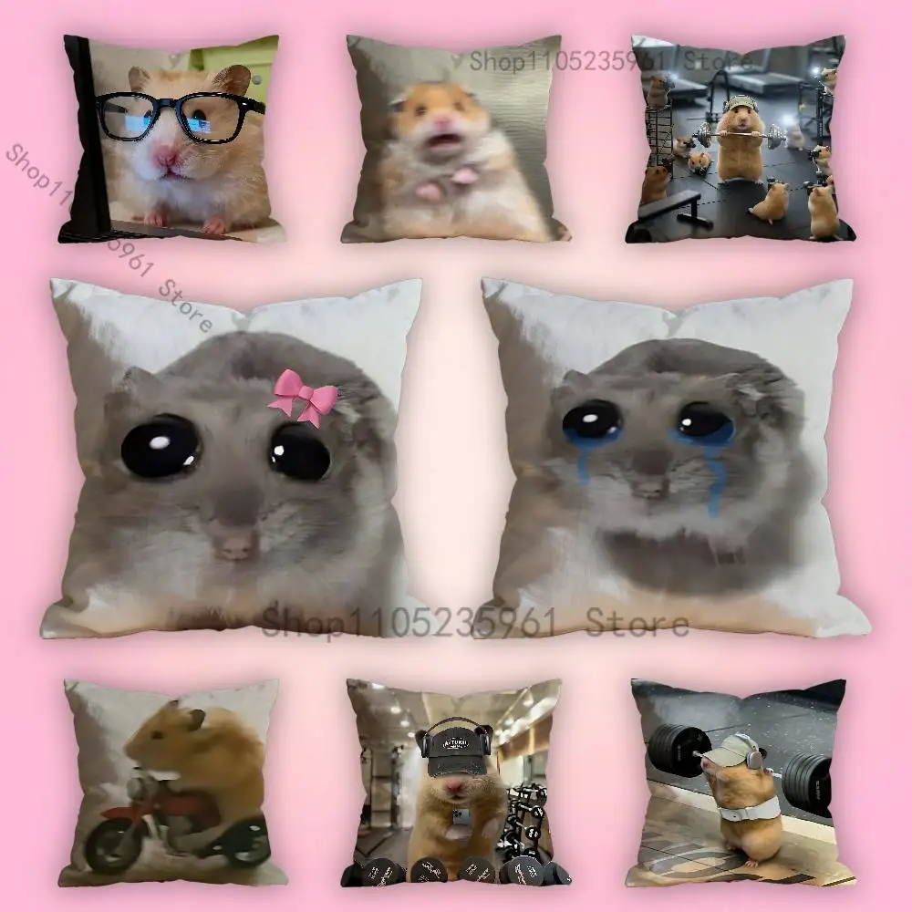 

Sad Hamster Meme Gym Various Sizes Square Pillow Case For Car Home Bedchamber Decor Custom Valentine gift