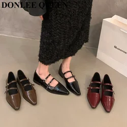 2024 Spring New Brand Women Flat Shoes Fashion Pointed Toe Shallow Mary Jane Shoes Soft Flat Heel Dress Ballerinas Soft Moccasin