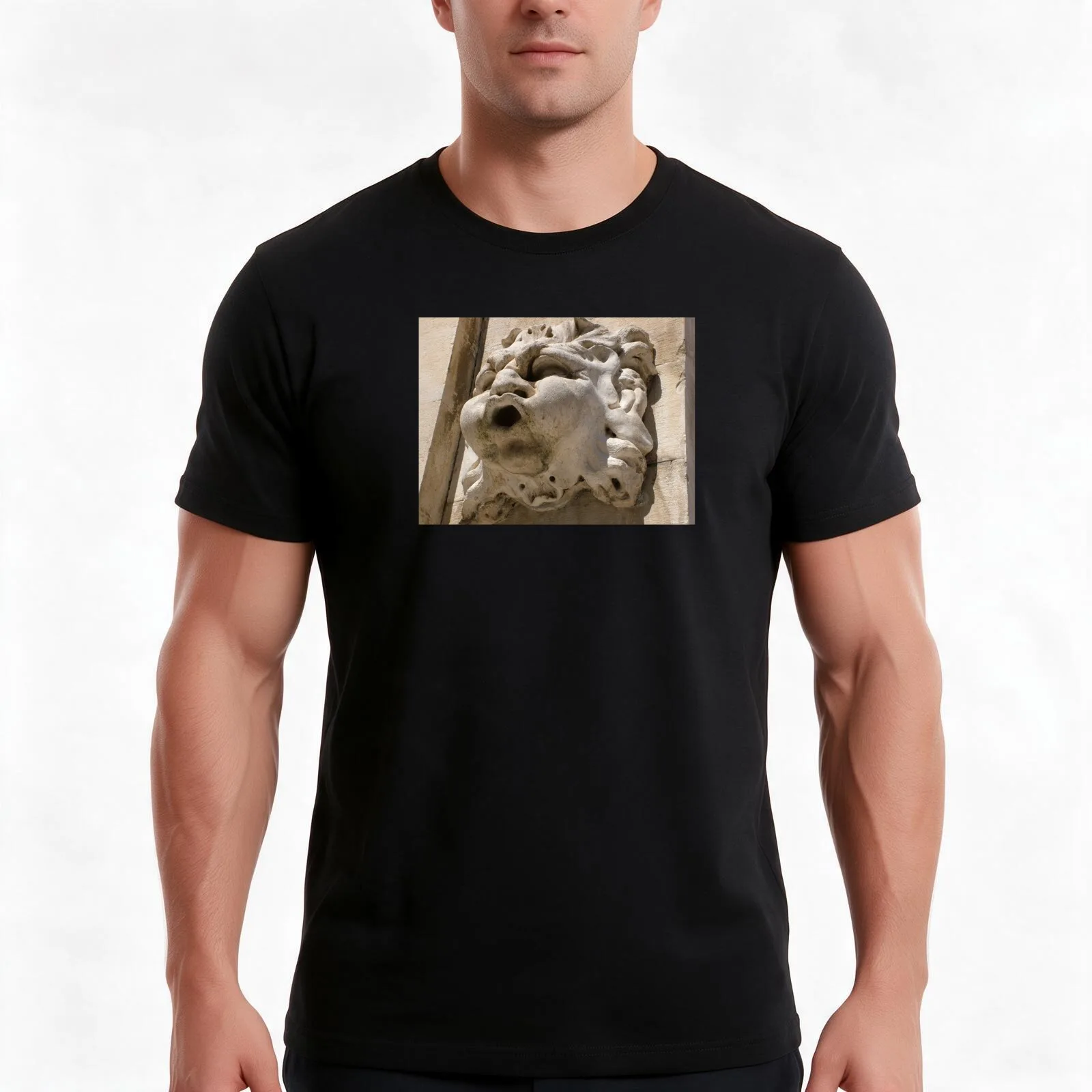 Stone Gargoyle T-Shirt, Summer Casual Cotton Tee, Oversized Streetwear Tops, Vintage Graphic Print, Loose Fit Short Sleeve