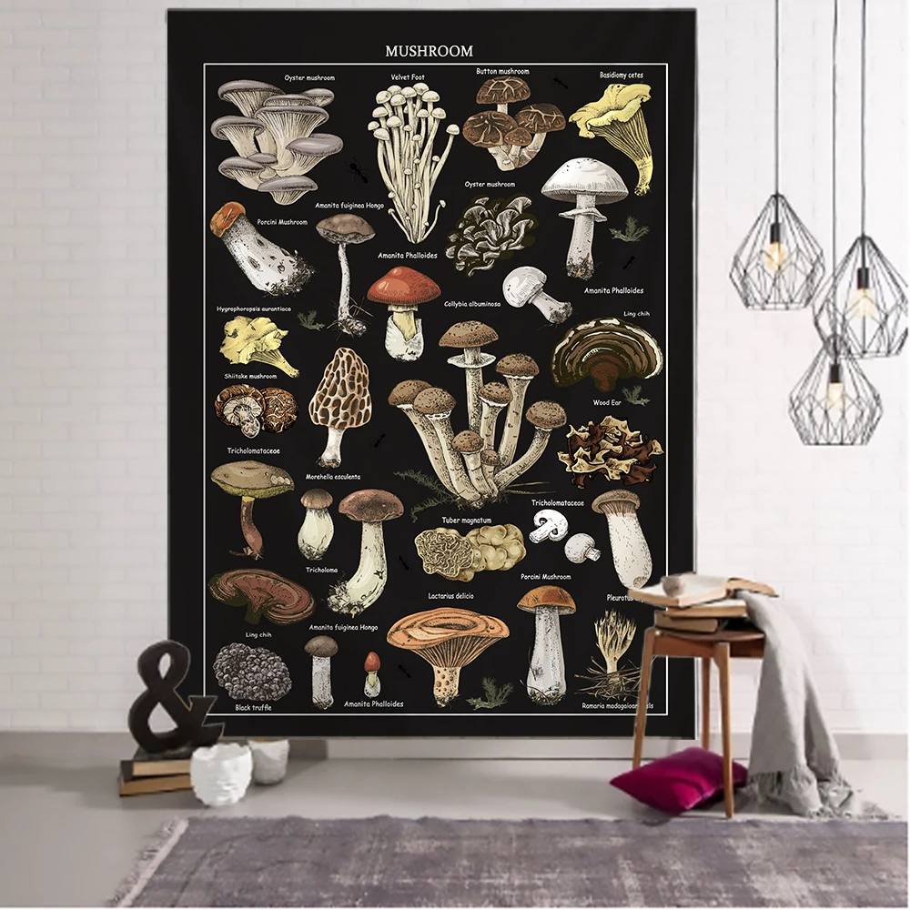 Schwarz Pilz Beispiel Bild Wan – Home Decor Examples Bewertung und Preis