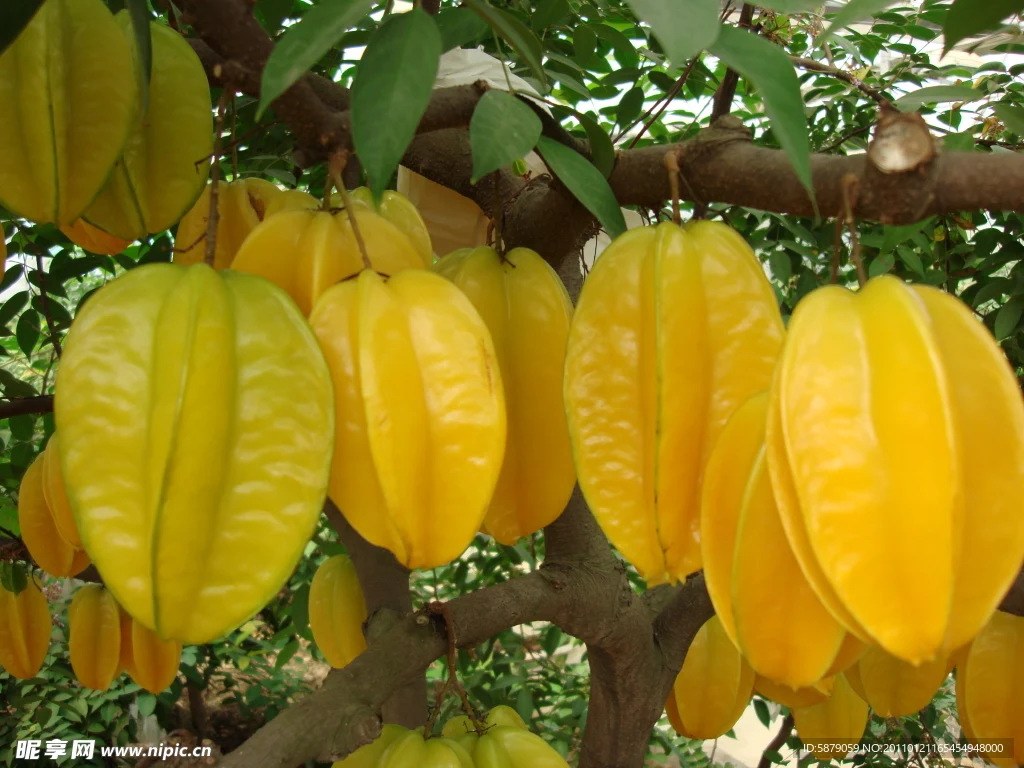 

For MJX Hyper Go RC Car Parts Remote Control 14209 1/14 Off road vehicle beach bike accessories/E45AZ electrically adjustable