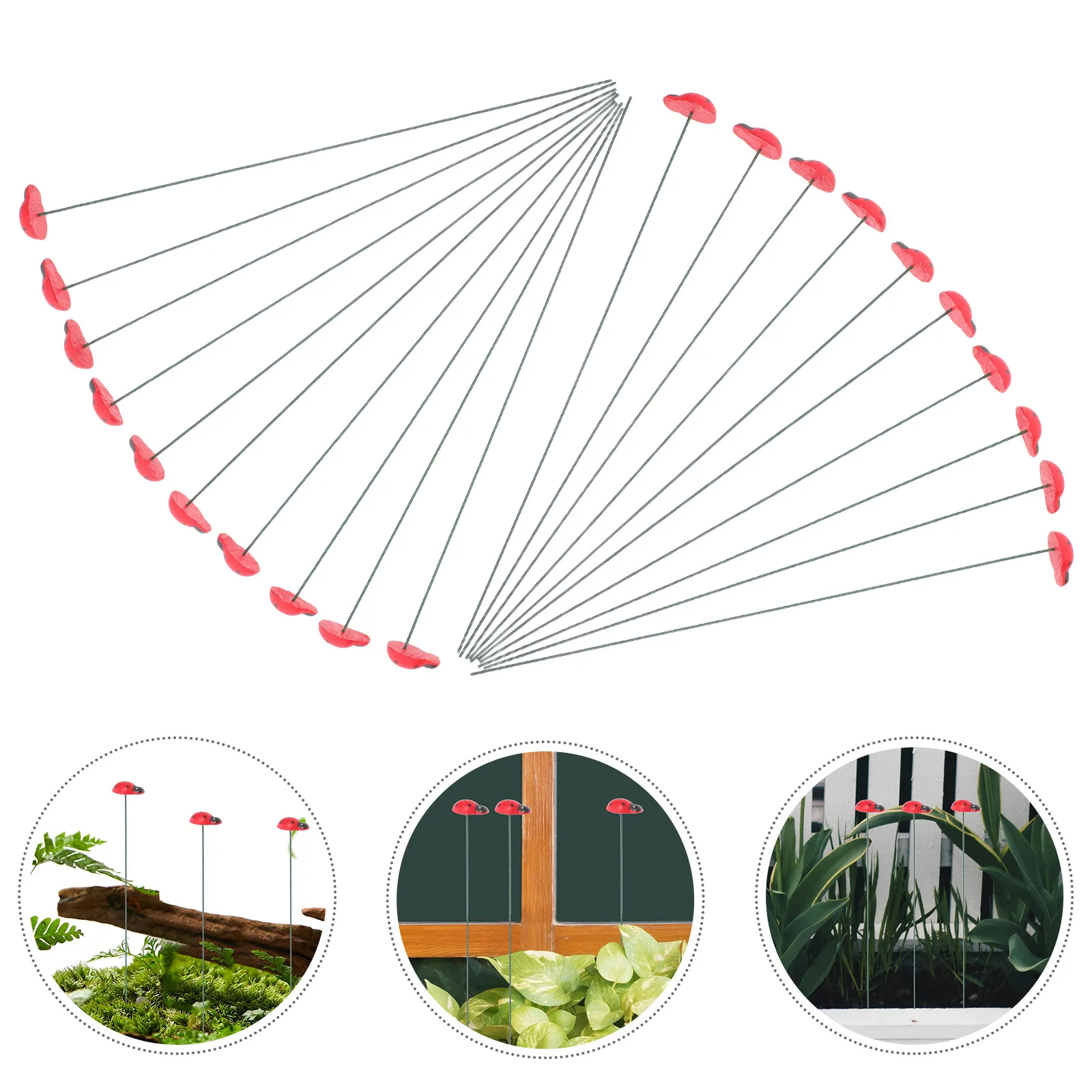 

20 Pcs Beetle Decorations Decors Cute Garden Decorative Stakes Lawn Wooden Bugs
