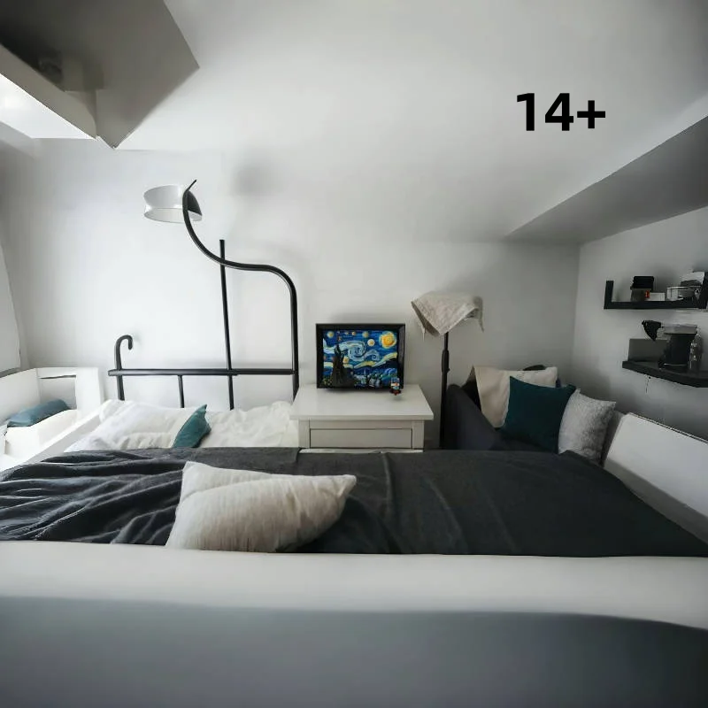 2025 2316피스 별이 빛나는 밤 유화 조립 블록 모델 크리에이티브 시리즈 남녀 공용 선물 21333 호환