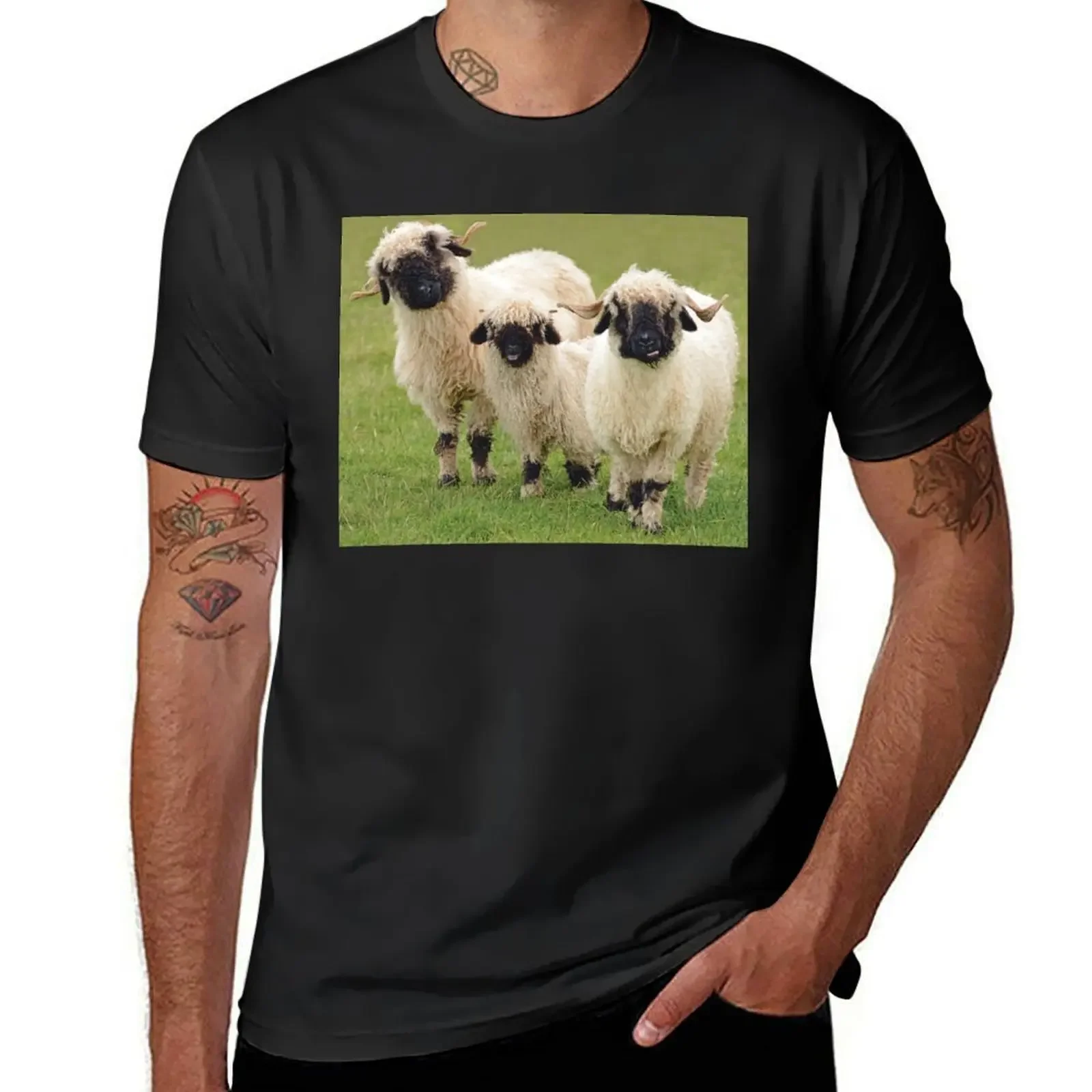 

Swiss Valais Blacknose Sheep T-Shirt man t shirt quick-drying vintage t shirt men